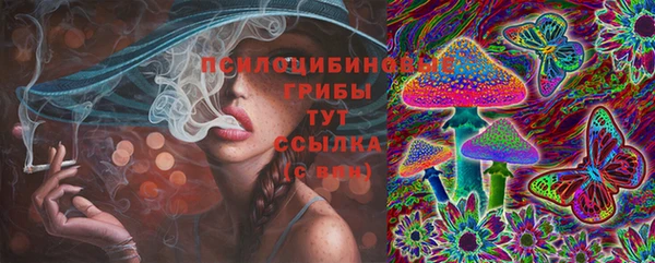 mdpv Белокуриха