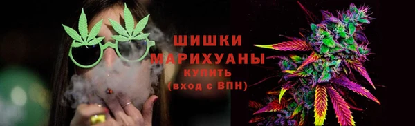 spice Богородск