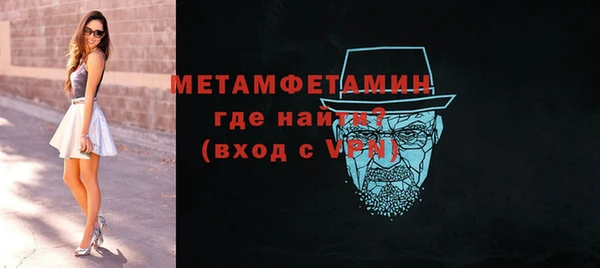 крисы Богородицк